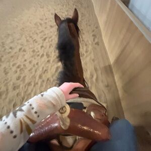 Meet your Posher, Marlee